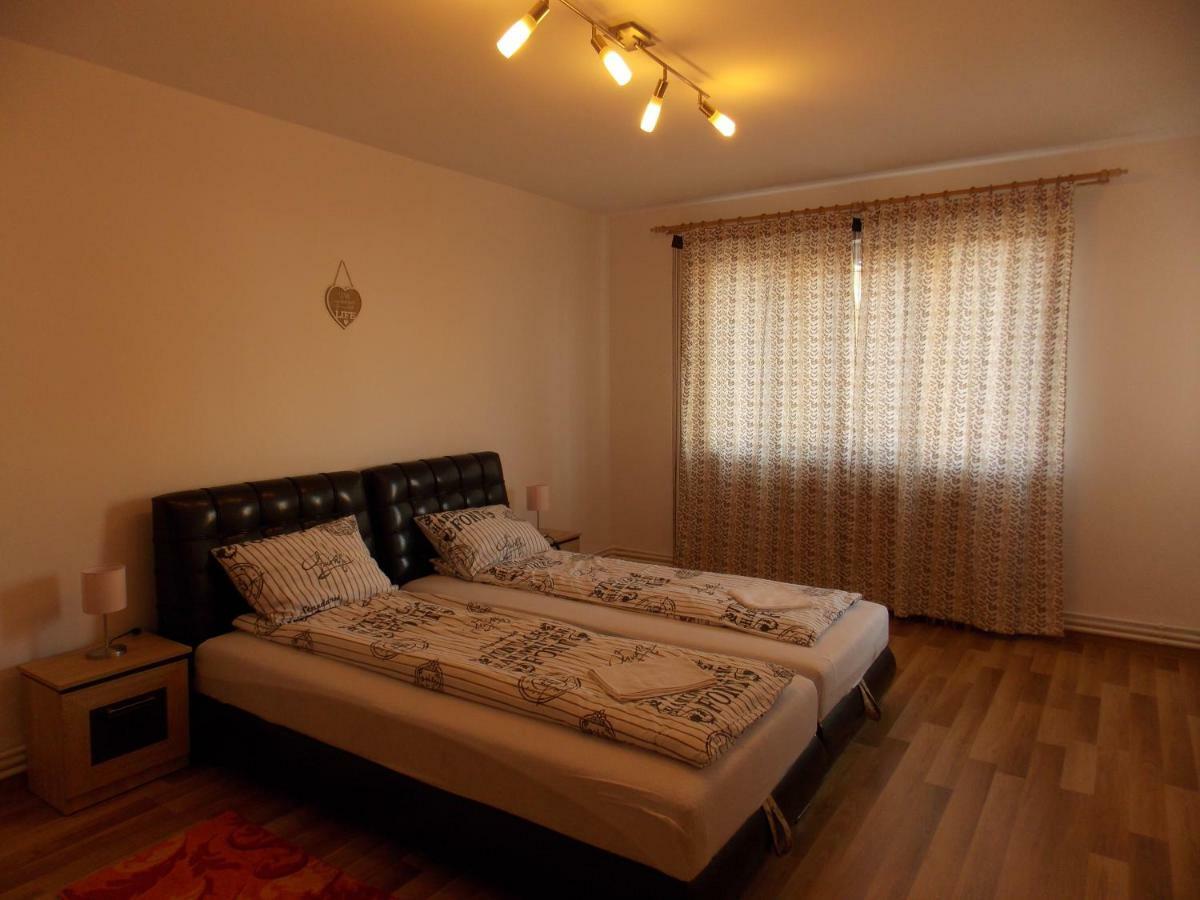 Morningstar Apartment Sfantu Gheorghe  ภายนอก รูปภาพ