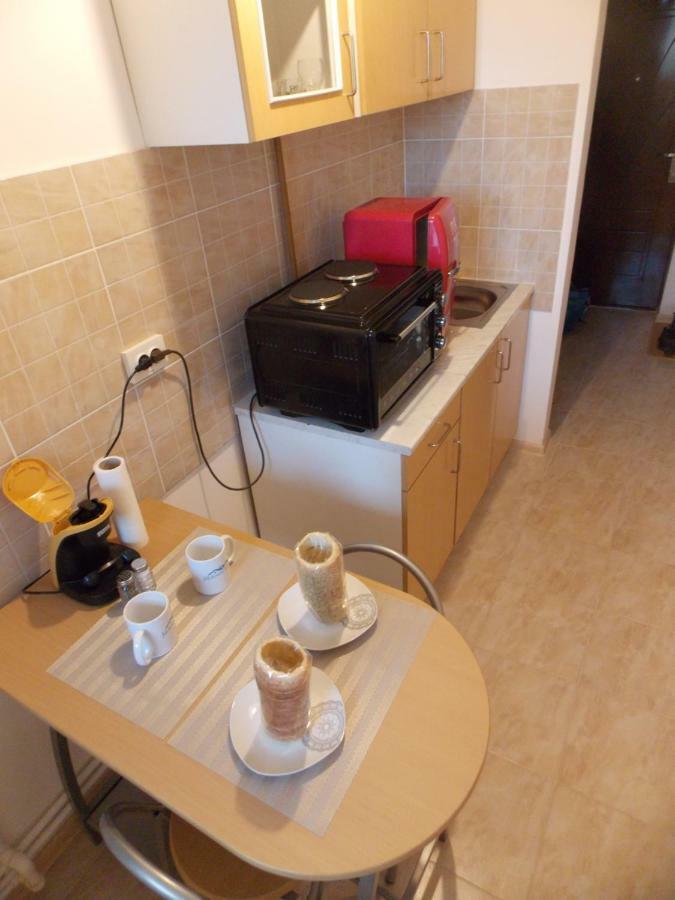 Morningstar Apartment Sfantu Gheorghe  ภายนอก รูปภาพ