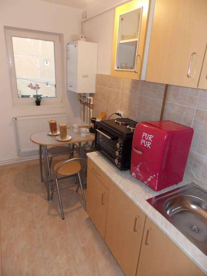 Morningstar Apartment Sfantu Gheorghe  ภายนอก รูปภาพ