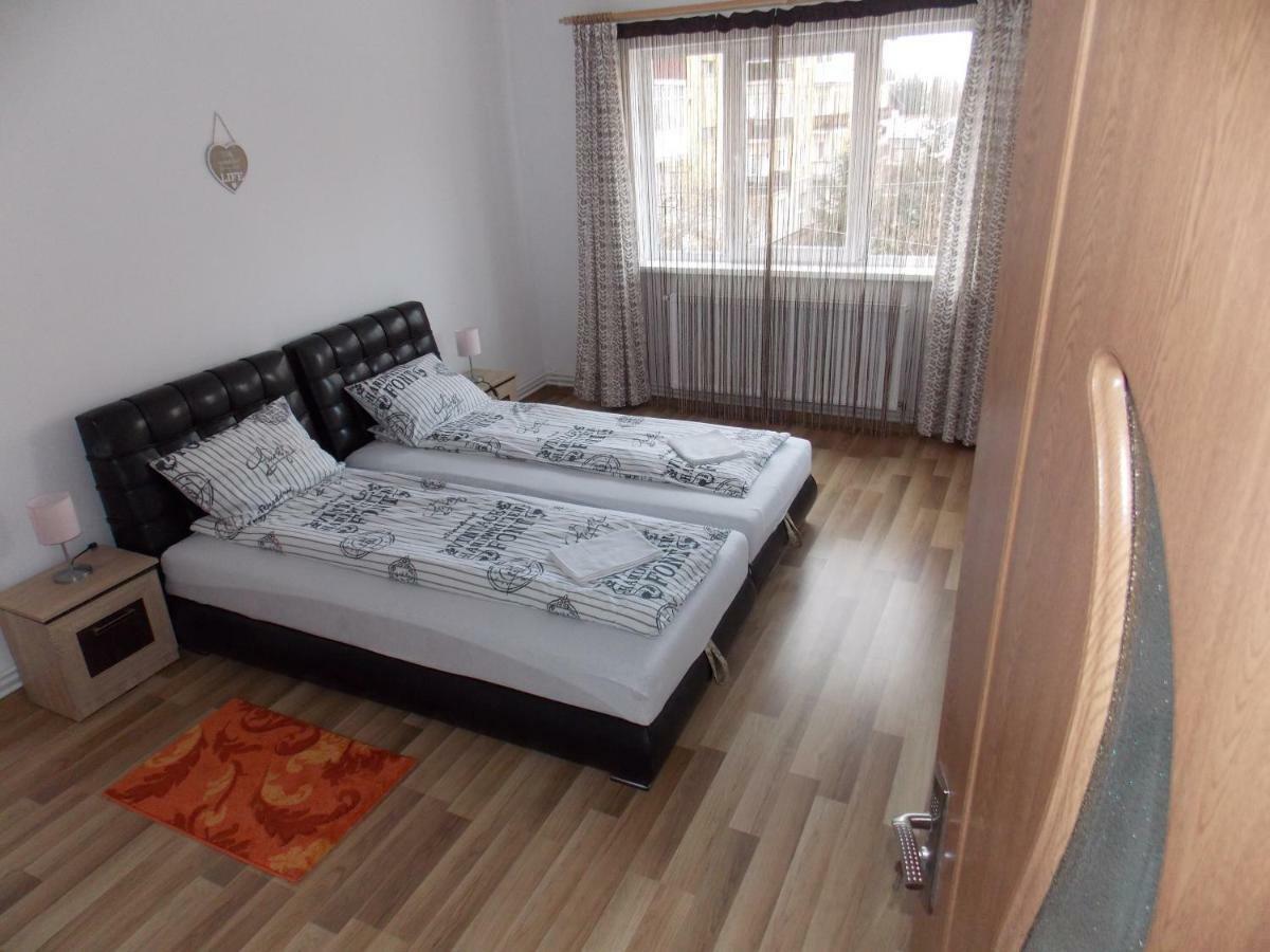 Morningstar Apartment Sfantu Gheorghe  ภายนอก รูปภาพ